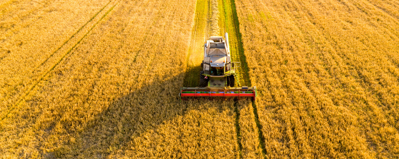 reconversion agriculture